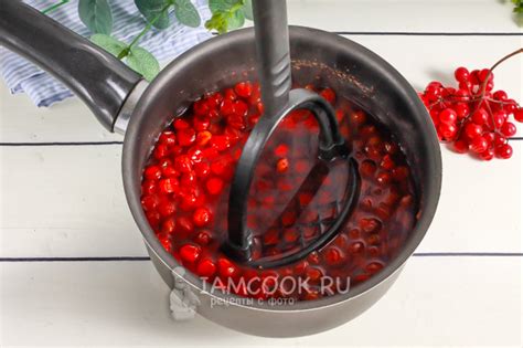 Сироп из калины на зиму — рецепт с фото пошагово. Как сделать сироп из ...