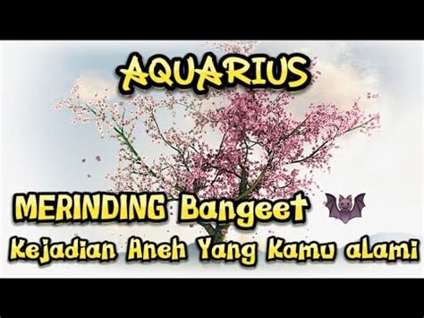 Aquariusmerinding Bangeet Kejadian Aneh Yang Kamu Alami Youtube