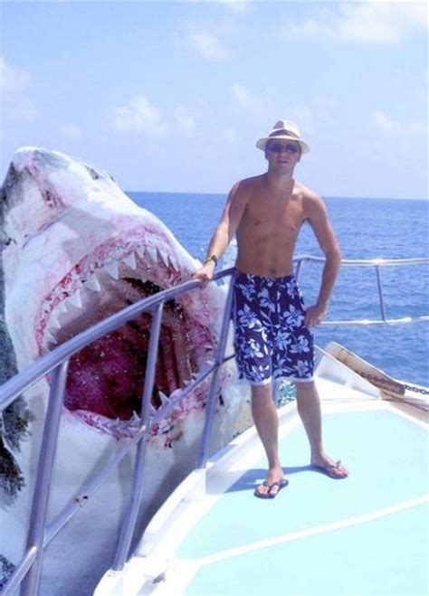 33 Photos Showing Just Seconds Before Disaster Strikes Gallery