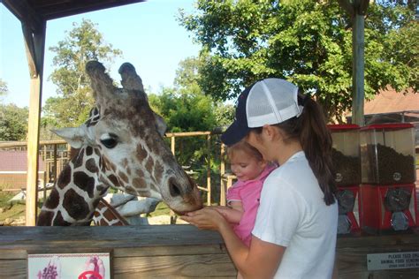 Stink and I: Metro Richmond Zoo