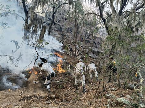 Registra Sinaloa Cuatro Incendios Forestales Activos Dice Conafor 205