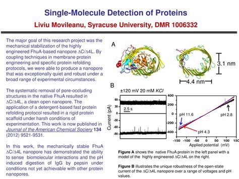 Ppt Single Molecule Detection Of Proteins Liviu Movileanu Syracuse