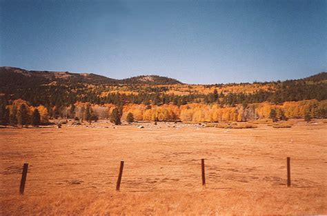 Fall Foliage - About Lake Tahoe