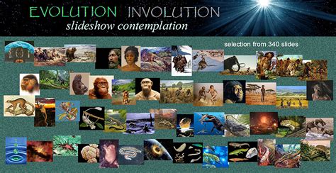 Image Map Preview Of Evolution Involution Slideshow