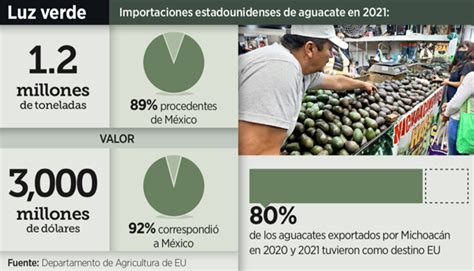 Reanudan El Corte Y La Exportaci N De Aguacate