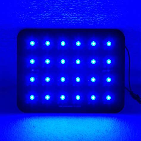 Blue Led Lights Aquarium Led Royal Blue Aquarium Blue Led Aquarium