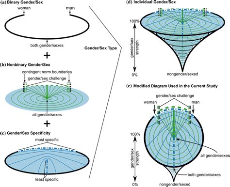 Individual Gendersex Diagram Adapted From Van Anders 2015 Download Scientific Diagram