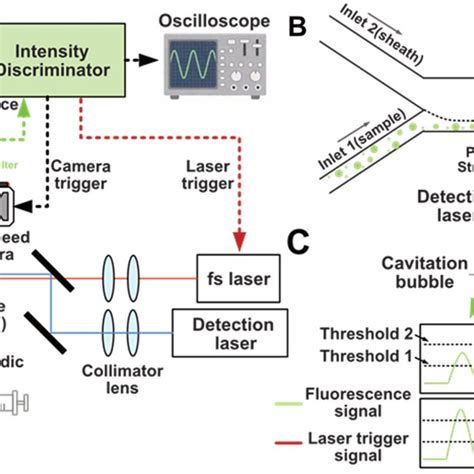 Schematic Of The Femtosecond Laser Assisted Triple Selective System