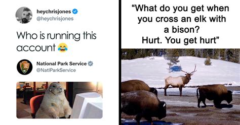 20 Hilarious Tweets From The Viral National Park Service Twitter