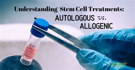 Understanding Stem Cell Treatments Autologous Vs Allogenic Pain