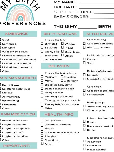 My Birth Preferences Birth Plan Template for Being Prepared - Etsy