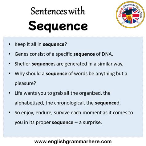 Sentences With Harbor Harbor In A Sentence In English Sentences For