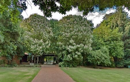 Johannesburg Botanical Garden - One of the Top Attractions in ...