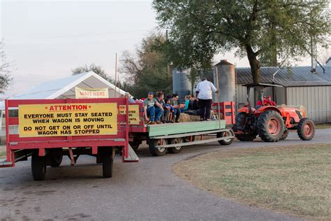 old time christmas tree farm 8