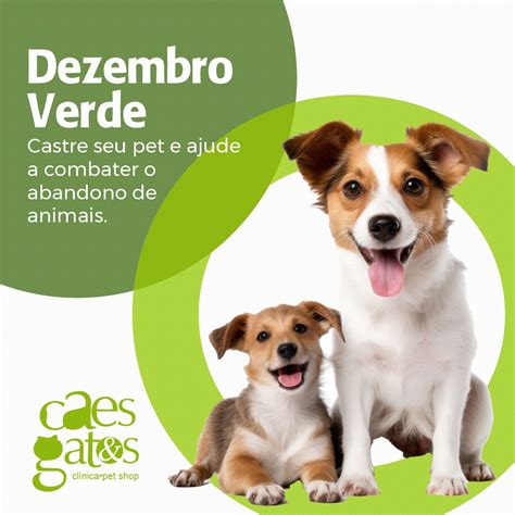 Dezembro Verde Castre Seu Pet E Combata O Abandono De Animais C Es