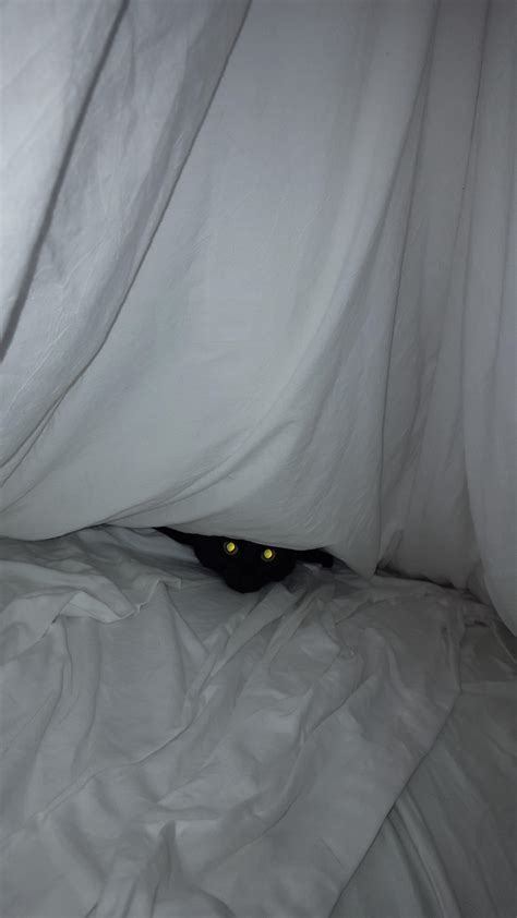 Felt something biting my toes | Scrolller