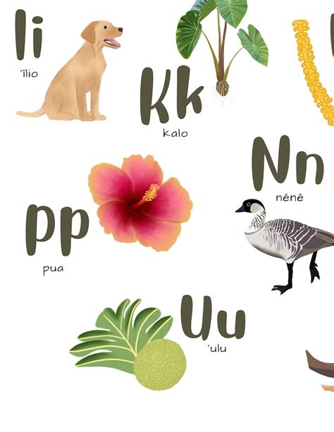 Hawaiian Alphabet Poster Illustrated Alphabet Digital Print ʻŌlelo