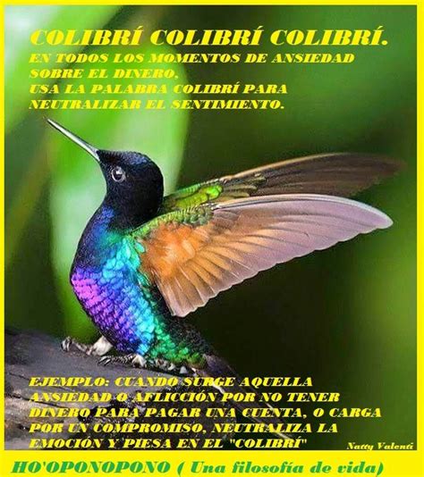 Introducir Imagen Significado De Colibri En Hooponopono Viaterra Mx