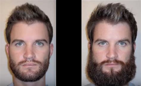 Time Lapse Progression Beard Growth Stages Beard Growth Beard