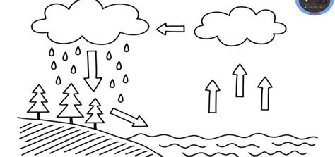 Ciclo Del Agua Para Colorear Ciclo Del Agua Agua Para Colorear Ciclo Del Agua Dibujo