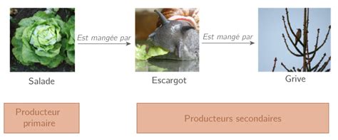 Les Besoins Nutritifs Des Tres Vivants Et Leur Distribution Dans L