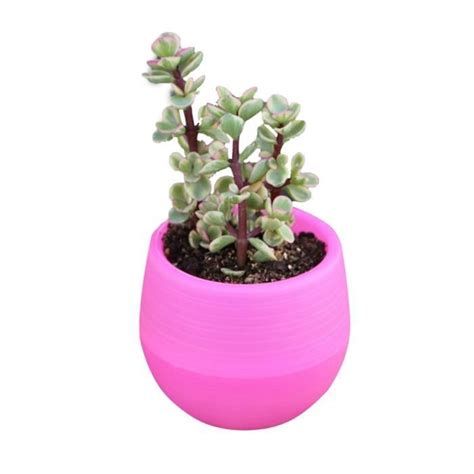 Pot De Semis Fafeicy Conteneur De Fleurs En Plastique Rose Rouge