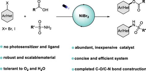 Light Promoted Nickel Catalyzed Cocn Coupling Of Aryl Halides With