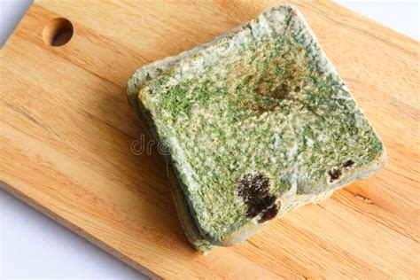 Mouldy Bread Royalty Free Stock Photos - Image: 32140918