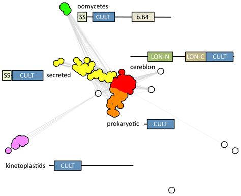 Cluster Map Of Cult Domain Proteins The Main Clusters Are Named As