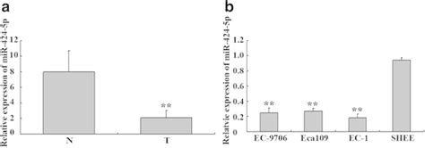 Downregulation Of MiR 424 5p In ESCC Tissues And Cell Lines A The