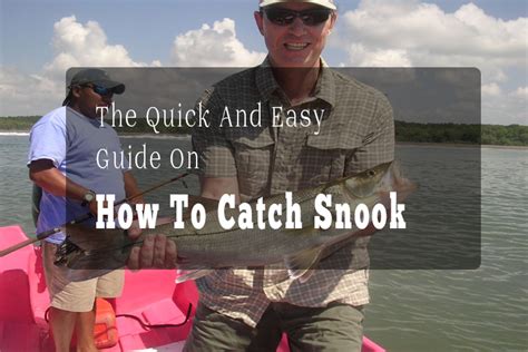 How To Catch Snook Quick And Easy Guide