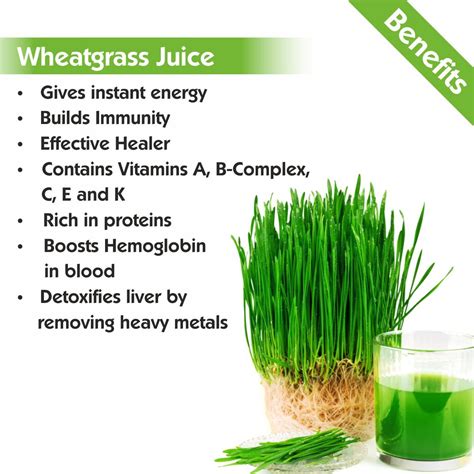 Health Benefits of Wheatgrass Juice - AERNS