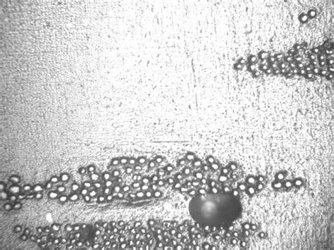 6: Representative microscopic images obtained at 200 x magnifications ... 