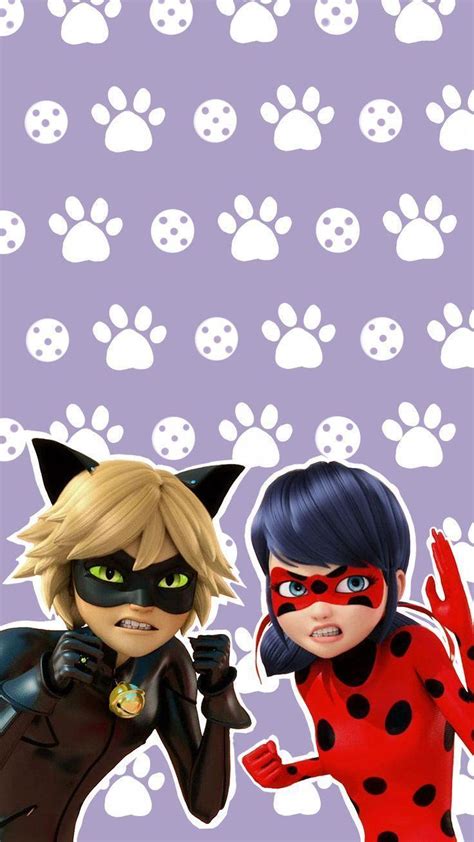 Miraculous Wallpapers Wallpaper Cave