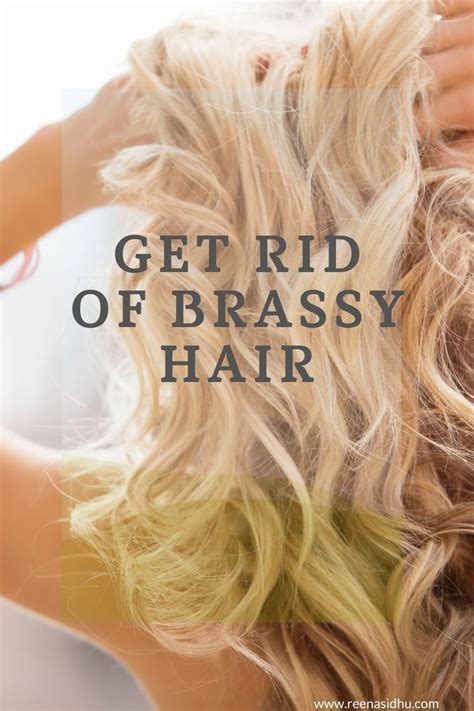 How To Get Rid Of Brassy Hair With Vinegar Brassy Hair Brassy Blonde Hair Yellow Blonde Hair