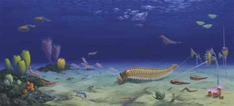 A Million Year Old Five Eyed Fossil Reveals Arthropod Origin