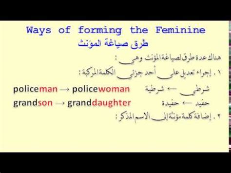 Ways Of Forming The Feminine طرق صياغة المؤنث YouTube