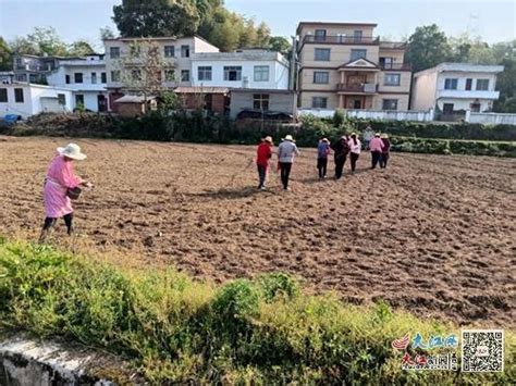 九江市柴桑区城门街道：抛荒土地流转 带动群众就业（组图） 九江频道 大江网（中国江西网）