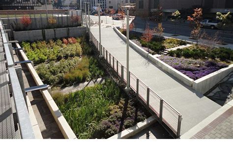 Urban Rain Garden By Insite Studio Rain Garden Sustainable Design