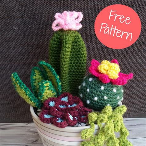 Crochet Succulents Free Pattern » Weave Crochet