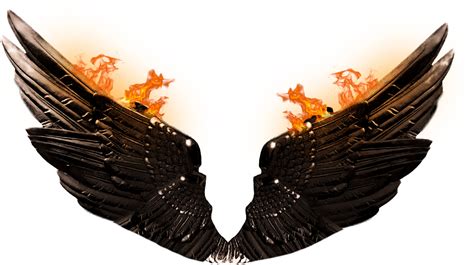 100 Wings Of Fire Png Images