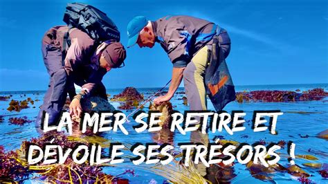 La MER se RETIRE et DÉVOILE ses TRÉSORS Une pêche simple pour TOUT