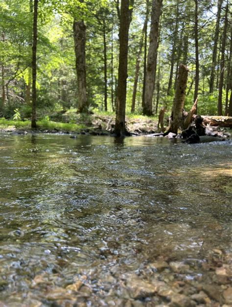 Hiking The Upper Delaware river!