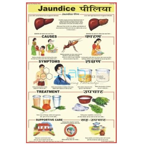 Jaundice Chart India, Jaundice Chart Manufacturer, Jaundice Chart Suppliers and Jaundice Chart ...