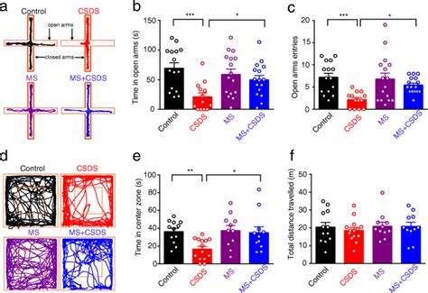 Moderate Maternal Separation Mitigates The Altered Synaptic