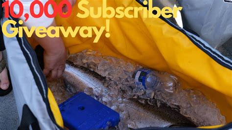 10000 Subscriber Giveaway Announcement Youtube