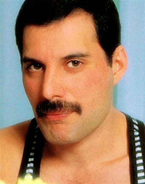 25 best FREDDIE MERCURY images on Pinterest | Queen freddie mercury, Classic rock and Queens