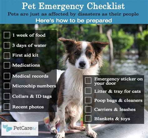 Emergency Preparedness And Pets If You Dont Need This Info Right Now