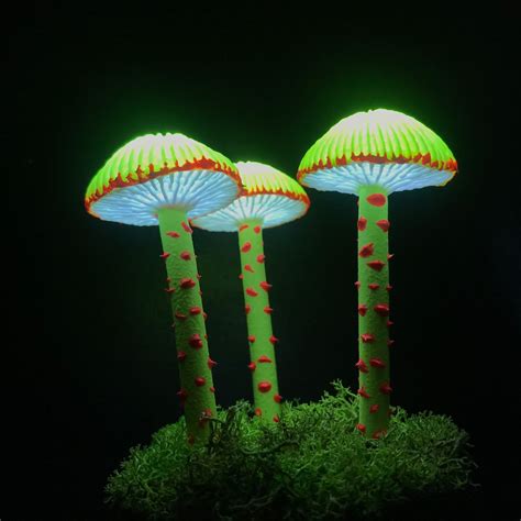 Fluorescent Mushroom Led Night Light Trippy Lamp Glowing In Etsy