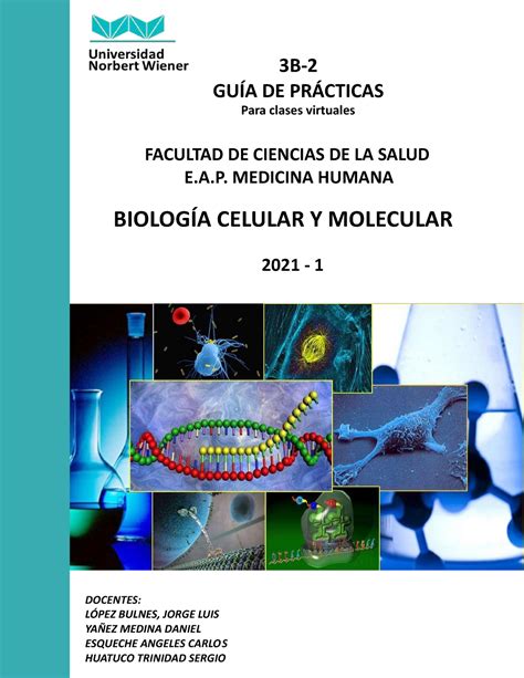 Guia Virtual De Pr Cticas De Biologia Celular Y Molecular B